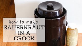 Sauerkraut Crock Recipe  HOW TO MAKE SAUERKRAUT IN A CROCK  Bumblebee Apothecary [upl. by Madigan]