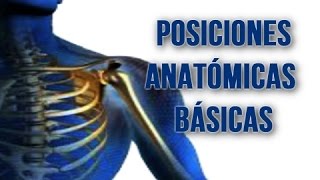 CUIDANETPOSICIONES ANATÓMICAS BASICAS [upl. by Aihsiek]