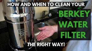 How To Clean Berkey Water Filters THE RIGHT WAY [upl. by Breech471]