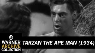 Clip  Tarzan the Ape Man  Warner Archive [upl. by Attenreb267]