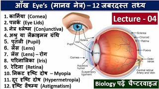 4Eye Basic Structure in Hindi Biology in Hindi by Nitin Sir Study91 Eye Related Question Answer [upl. by Aihsoem]