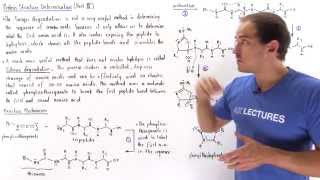 Edman Degradation [upl. by Tioneb]