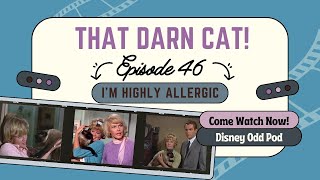 That Darn Cat 1965 [upl. by Nidnarb]