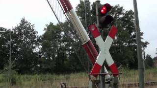 Bahnübergänge an der KBS116 Munster Railcrossings in Munster Germany [upl. by Niamrej375]