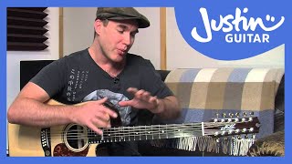 12 String Guitar Tuning Tips amp Tricks on a Maton Messiah Guitar Lesson TE501 [upl. by Coster]