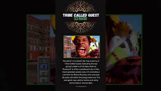 Tribe Called  Quest Scenario [upl. by Canfield]