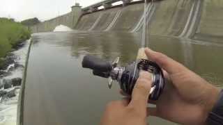 Saugeye and Buffalo Carp Fishing at Hoover Dam [upl. by Snodgrass582]