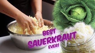 HOW TO MAKE SAUERKRAUT 14 [upl. by Corrie]