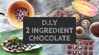 How to Make Chocolate from Cacao Nibs [upl. by Hamrnand]