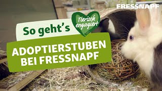 Ein Haustier aus dem Tierheim adoptieren Mit der Fressnapf Adoptierstube [upl. by Vasos324]