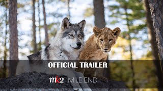 The Wolf amp The Lion  Official Trailer  MK2 MILE END [upl. by Ahsekram]