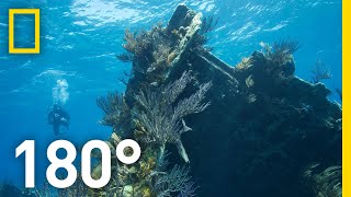 Underwater on Bermuda’s Montana Shipwreck – 180  National Geographic [upl. by Philbert876]