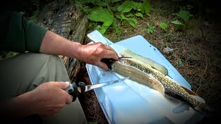 Northern Pike quotYquot Bone Removal  Made Easy [upl. by Anchie]