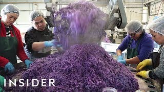 How Sauerkraut Is Made [upl. by Attiuqal]