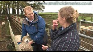 Sheep Drenching worming with Adam Henson [upl. by Arraes]