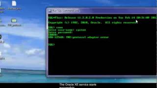 Oracle  TNS  Protocol Adapter Error Working Solution [upl. by Vedette207]