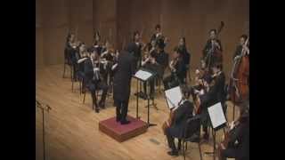 Gustav Holst StPauls Suite for String Orchestra Op29No2 [upl. by Yknip]