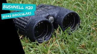 Bushnell H2o 10X42 Binoculars Review [upl. by Anaihr892]