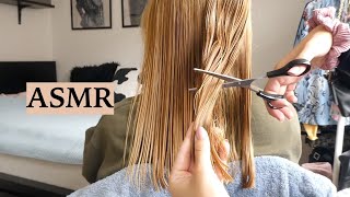 ASMR Haircut amp Hair Brushing To Help U Sleep Hair Play Spraying amp Scissor Sounds No Talking [upl. by Templa660]