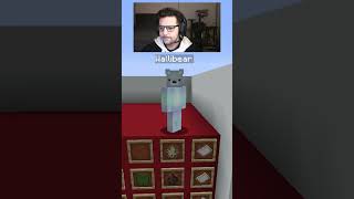 WALLIBEAR TAKES ON MOB ARENA gaming ⁠youtube funny minecraft memes tiktok shorts ytshorts [upl. by Abbub909]