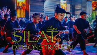 SILAT DEMONSTRATION GURUN KEDAH [upl. by Aynor]