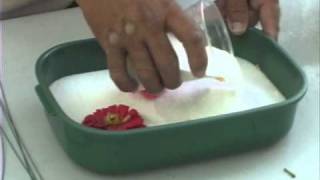 How to Use Silica Gel to Dry Flowers [upl. by Lauryn]