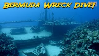 Diving the Hermes Wreck Bermuda The Bermuda Triangle [upl. by Naitsirc]