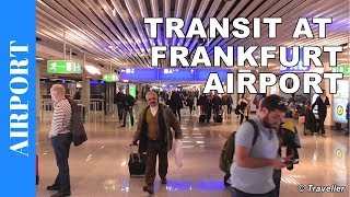 TRANSIT WALK AT FRANKFURT Airport FRA Terminal 1  Connection Flight Transfer Arriving amp Departing [upl. by Mccurdy]