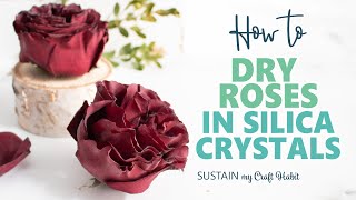 How to Dry Roses in Silica Crystals Turned out Great Even my First Time [upl. by Vicki]