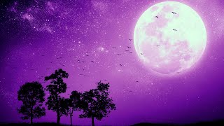 DEEP SLEEP in 5 MINUTES Relaxing Music • Sleep Music • Calming Music Stress Relief • Delta Waves [upl. by Rooker]