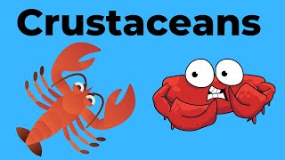 Characteristics of Crustaceans [upl. by Llahsram]