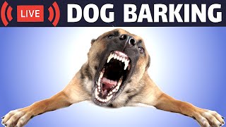 Dog Barking Sound  Dogs Barking Live Bark [upl. by Airbmat]