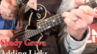 Shady Grove on Mandolin Lesson [upl. by Elorak188]