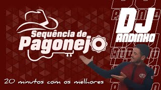 Pagonejo com os Melhores [upl. by Efi]