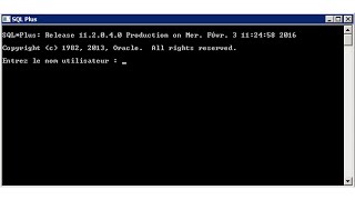 SQLPLUS cmd prompt [upl. by Jehoash]