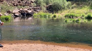 Dry Fly Fishing Beaver Creek below Skaguay Reservoir Colorado Sept 2019 [upl. by Kemme163]