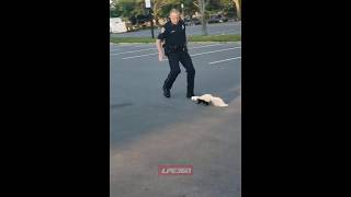 Skunk sprays police officer [upl. by Erodeht979]