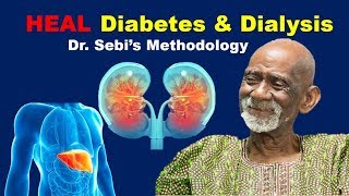 How To Heal Pancreas Diabetes amp Kidneys Dialysis  Dr Sebi Methodology [upl. by Aicertap955]