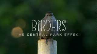 Birders The Central Park Effect  Official Trailer [upl. by Gunzburg]