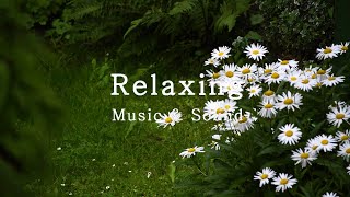 Debussy Clair de Lune  Relaxing Piano Music Rain Sound Calm piano Peaceful Deep Sleep [upl. by Orat77]